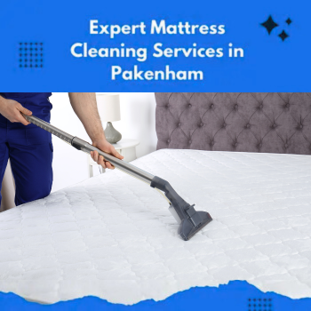 Trusted Carpet Cleaning Expert Mattress Cleaning Services