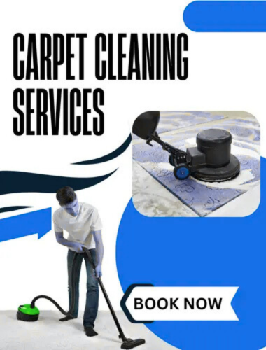 Meet the Mind Behind the Mission Best Couch Cleaning Company